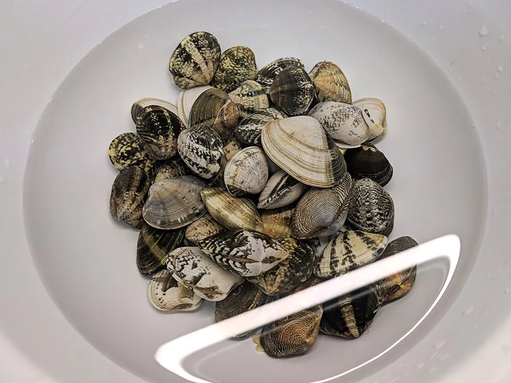 Almejas en remojo con agua salada.