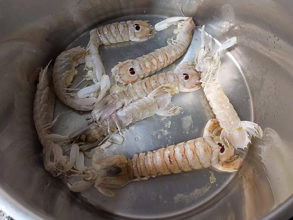 Galeras rehogándose