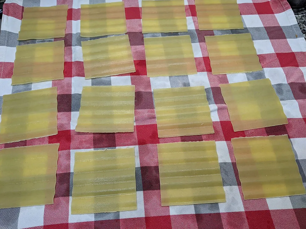 Placas de canelones.