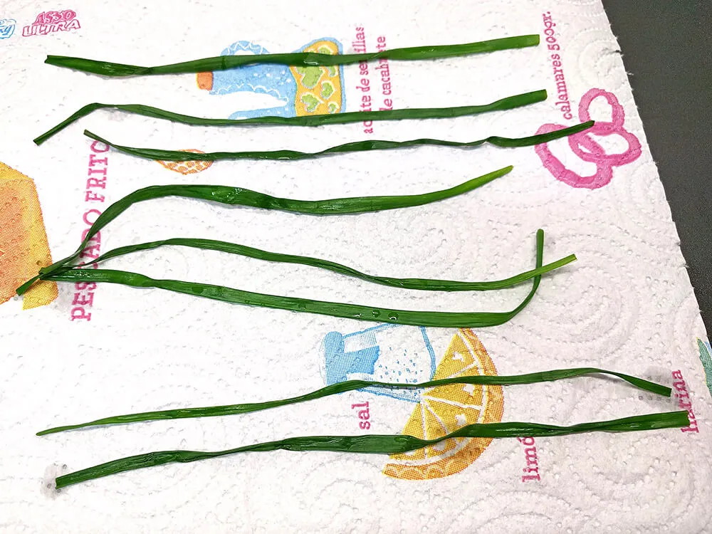 Cebollino en papel de cocina.