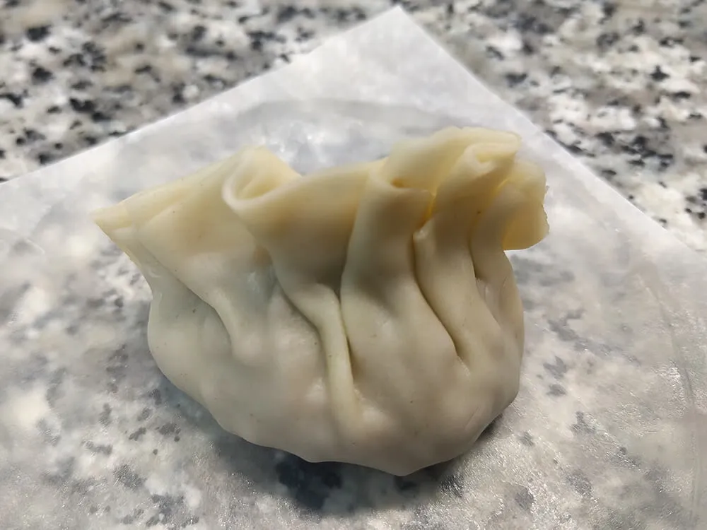 Gyoza rellena