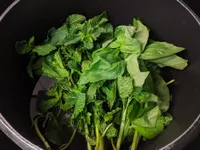 Hierbabuena y albahaca escaldadas.