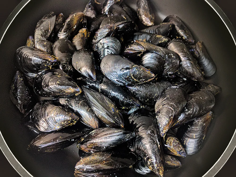 Mejillones limpios