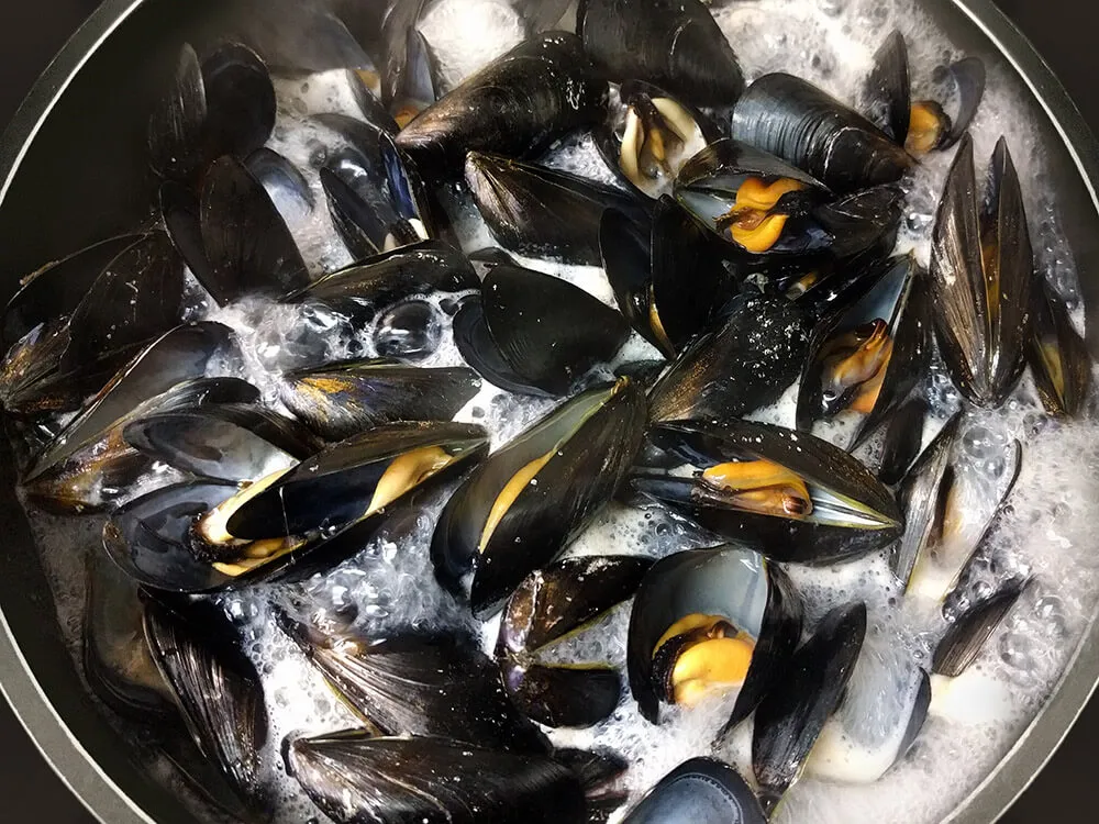 Mejillones abiertos al vapor