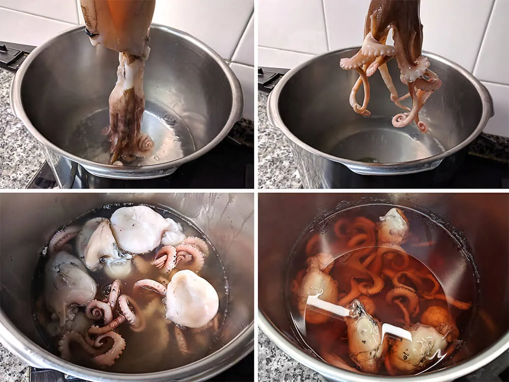 Olla con agua hirviendo y pulpitos frescos.