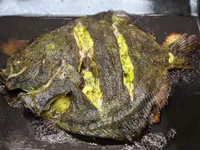 Tercera presentación del rodaballo al horno