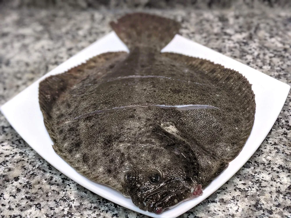 Rodaballo salpimentado.