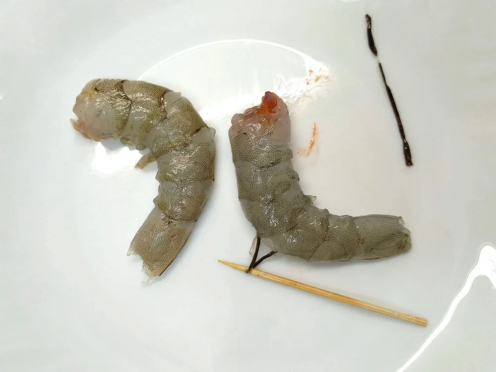 Langostino con intestino fuera.